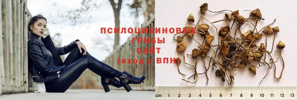 хмурый Краснотурьинск